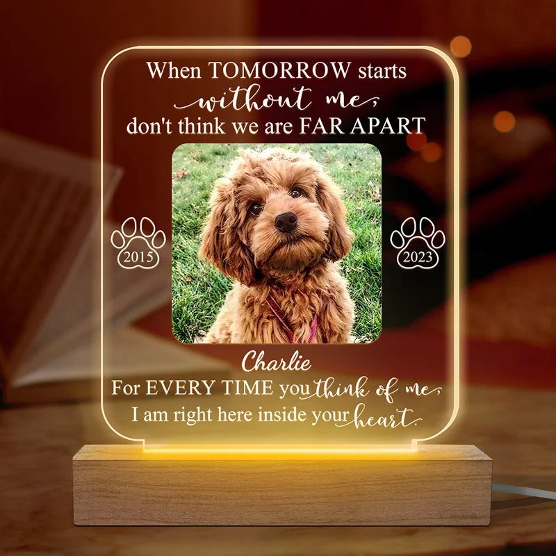 Custom Photo In the Heart Where I Belong - Personalized Remembrance 3D LED Light - Healing Gift for Pet Owners, Pet Lovers in Grief