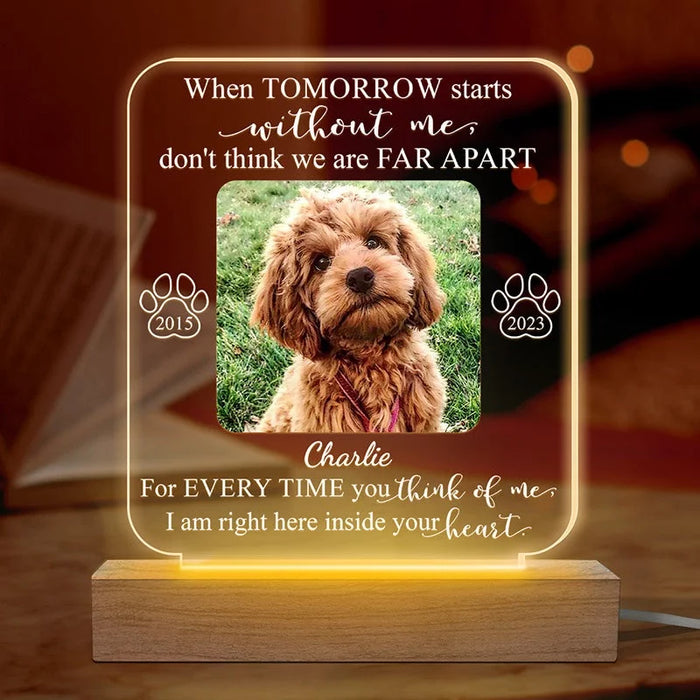 Custom Photo In the Heart Where I Belong - Personalized Remembrance 3D LED Light - Healing Gift for Pet Owners, Pet Lovers in Grief
