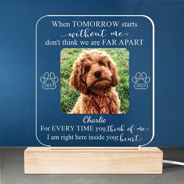 Custom Photo In the Heart Where I Belong - Personalized Remembrance 3D LED Light - Healing Gift for Pet Owners, Pet Lovers in Grief