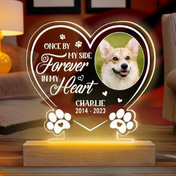 Custom Photo Gone Too Soon, Forever in Our Hearts - Personalized Remembrance 3D LED Light - Healing Gift for Pet Owners, Pet Lovers in Grief