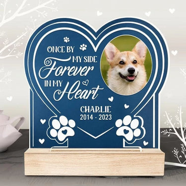 Custom Photo Gone Too Soon, Forever in Our Hearts - Personalized Remembrance 3D LED Light - Healing Gift for Pet Owners, Pet Lovers in Grief