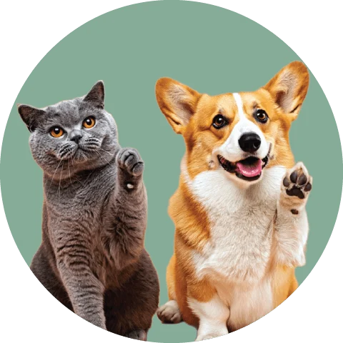 For Pet Lovers
