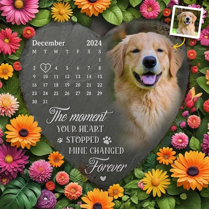 aiease 1749432941936