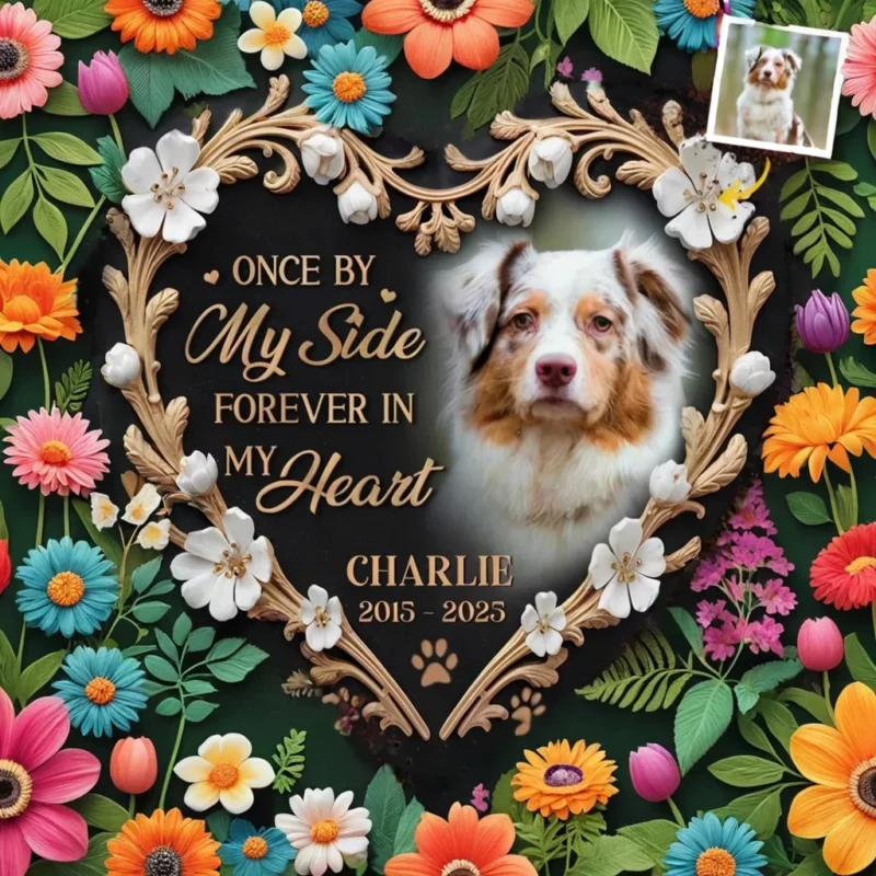 aiease 1749441113034